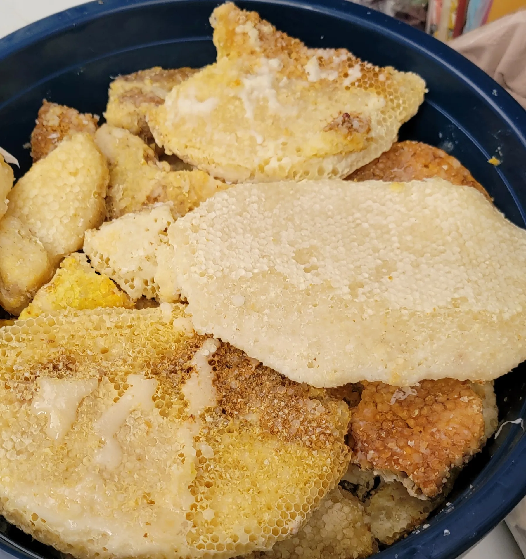 عسل المجرى الشعفي 