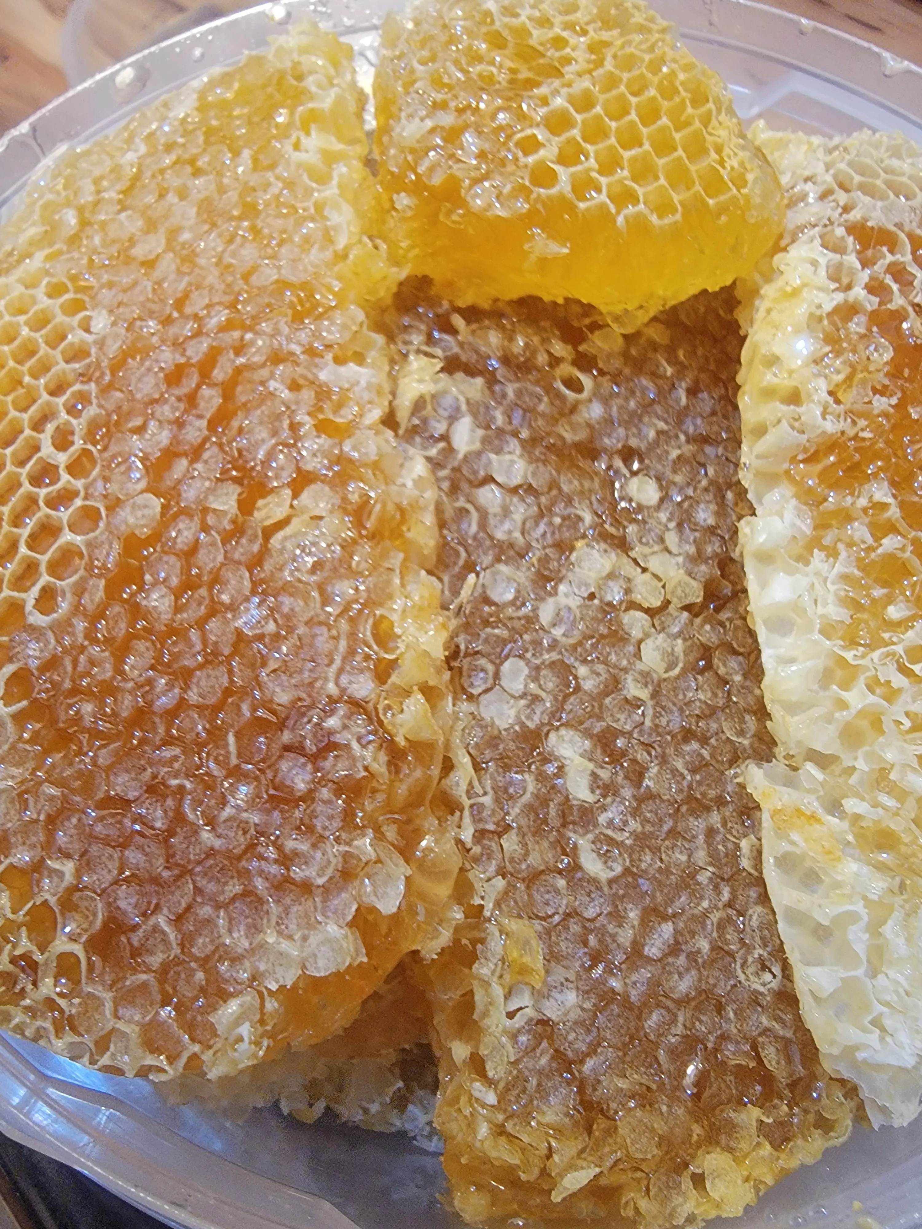 عسل طلح يمني بالشمع
