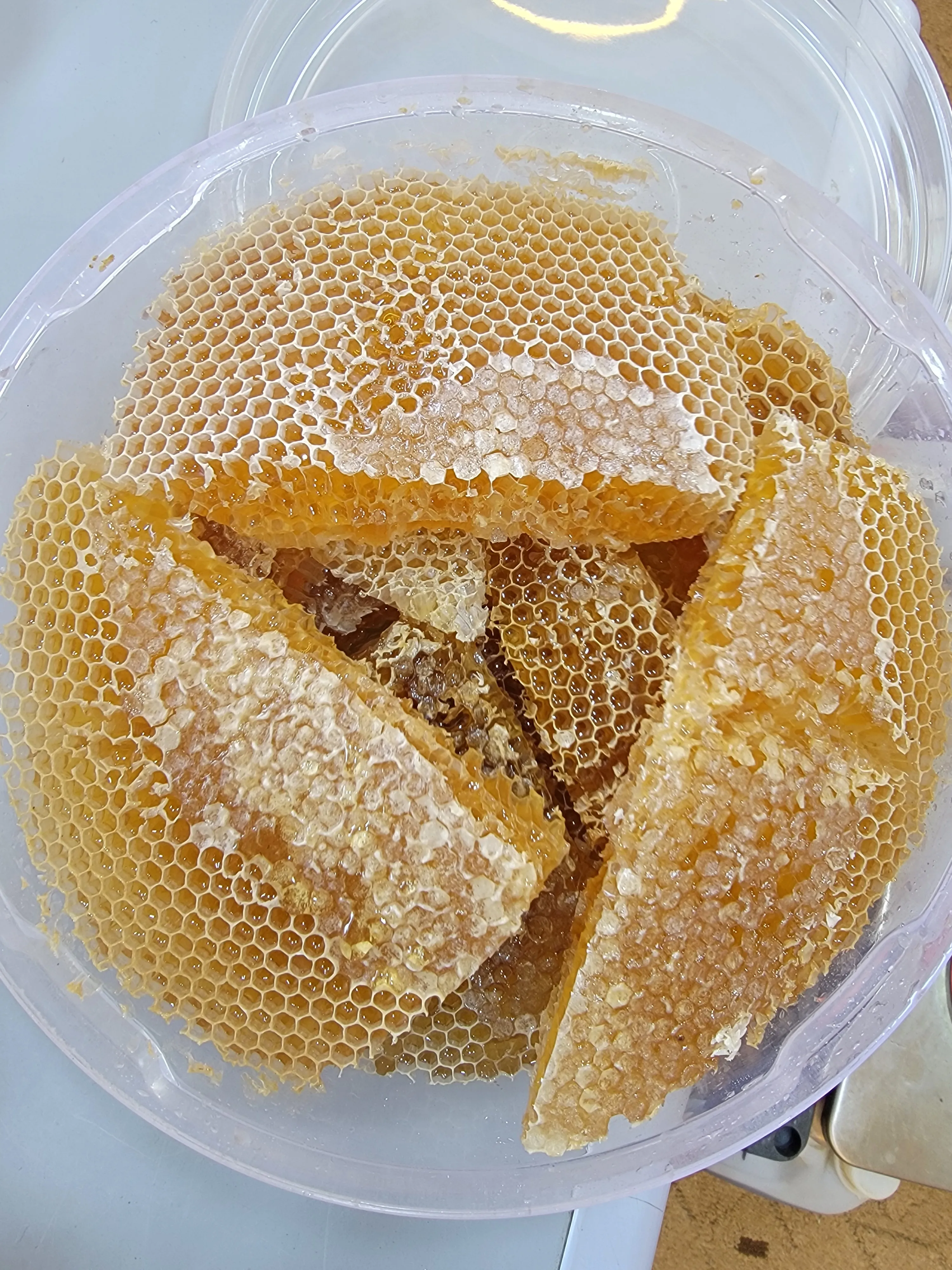 عسل ضباية عصيمي مع الشمع